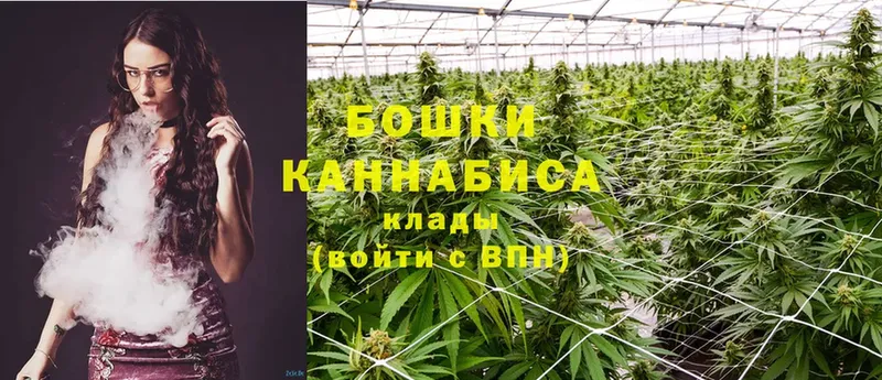 Каннабис SATIVA & INDICA  Родники 